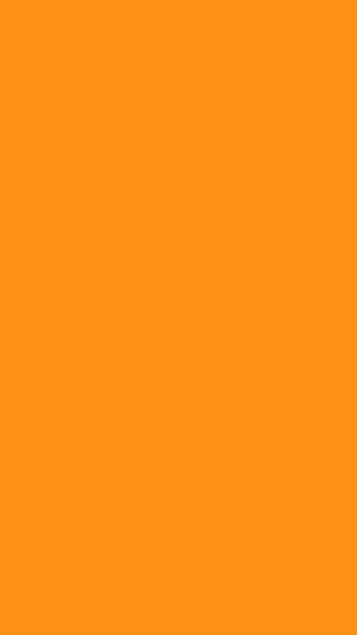 Orange Block of orange